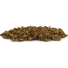 Mantarci Anne Hk 35 İstiridye Mantar Tohumu 1 Kilo