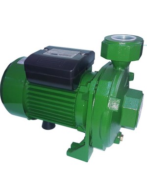 Atlantis Blu DMLA 30-1.5M 2 HP Tek Kademeli Basınçlı Santrifuj Bahçe Pompası 220V