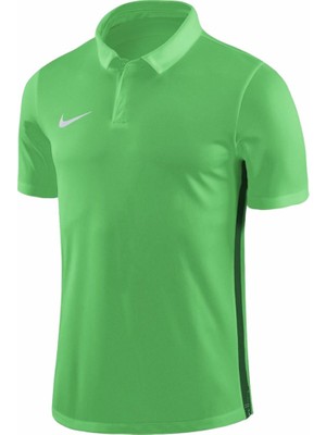 Nike Dry Academy 18 Ss 899984-361 Polo T-Shirt