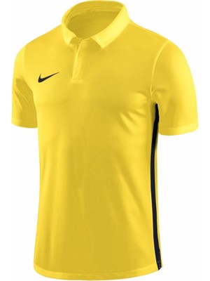 Nike Dry Academy 18 Ss 899984-719 Polo T-Shirt
