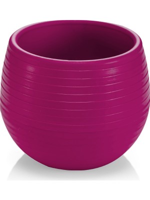 Serinova ES05 Elvan Bitki Ve Kaktüs Saksısı 1.3 Litre