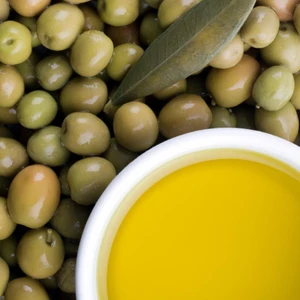 Ev Ve Bahçe Tüplü Ayvalık (Edremit) Zeytin Fidanı (1 Yaş)