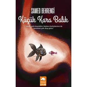 Küçük Kara Balık - Samed Behrengi