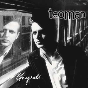 Teoman - 17 - Plak