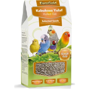 Kabuksuz Yulaf Tohumu Kuş Yem Katkısı 300 gr