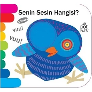 Senin Sesin Hangisi?