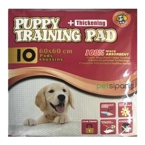 Puppy Training Pedi 60X60 cm 10'Lu