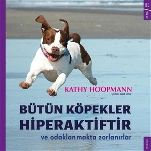 Bütün Köpekler Hiperaktiftir Ve Odaklanmakta Zorlanırlar - Kathy Hoopmann