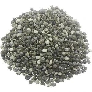 Mutlu Adım 1kg Umbinium Deniz Kabuğu