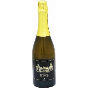 Üzüm Aromalı Gazlı İçecek 75 cl