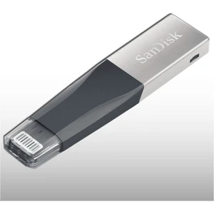 iXpand Mini 256GB iPhone USB Bellek SDIX40N-256G-GN6NE