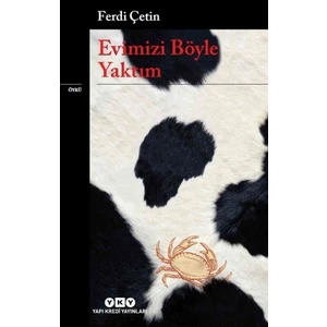 Evimizi Böyle Yaktım - Ferdi Çetin