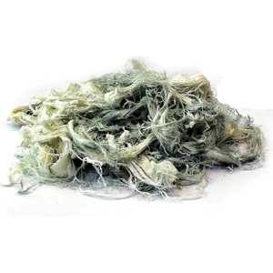 Kars Bakkaliyesi Göğermiş (Küflü) Peynir 1kg