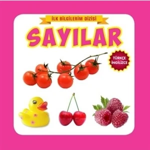 İlk Bilgilerim Dizisi - Sayılar