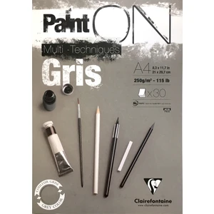 Paint On Gris A4 30 Yaprak - 250 Gram