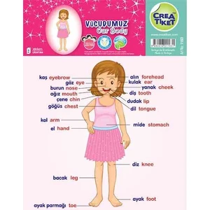 Crea Etiket Eğitim İng-Tr Vücudumuz Kız 1163