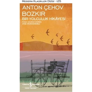 Bozkır: Bir Yolculuk Hikayesi - Anton Çehov