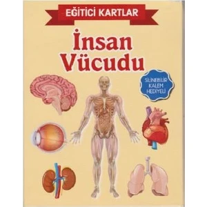 İnsan Vücudu - Ahmet Altay