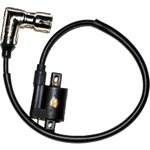 125 Agk - 125 Cg  Ateşleme Bobini Komple