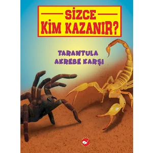 Sizce Kim Kazanır? Tarantula Akrebe Karşı - Jerry Pallotta