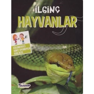 İlginç Hayvanlar - Panını