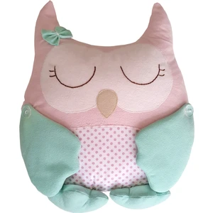 Pudra Decor Baykuş Yastık Mint Pembe