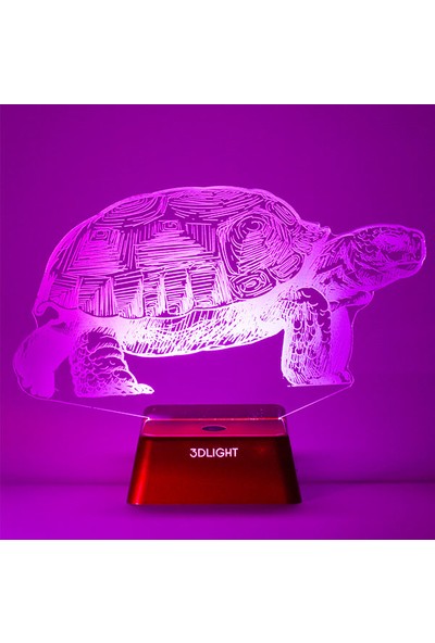 3D Light Kaplumbağa 3D Lamba