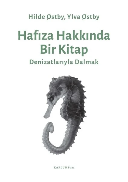 Hafıza Hakkında Bir Kitap - Hilde Østby