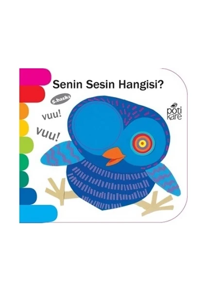 Senin Sesin Hangisi?