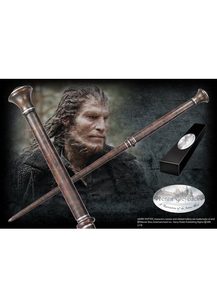 Harry Potter Fenrir Greyback Asa