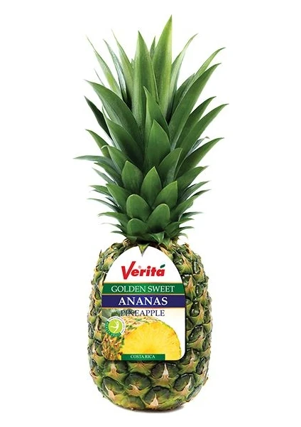 Ananas