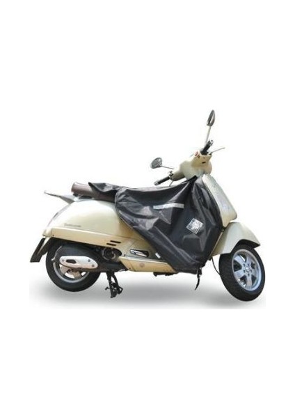 Vespa Gts 250/300 Termoscud® R-154