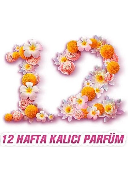 Yumuşatıcı Kamelya Aşkı 5 lt 4'lü Set