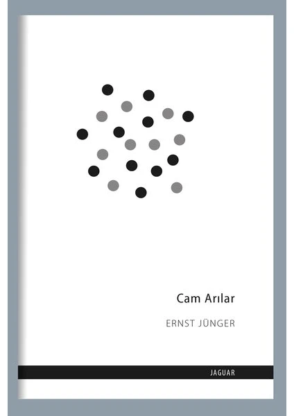 Cam Arılar - Ernst Jünger