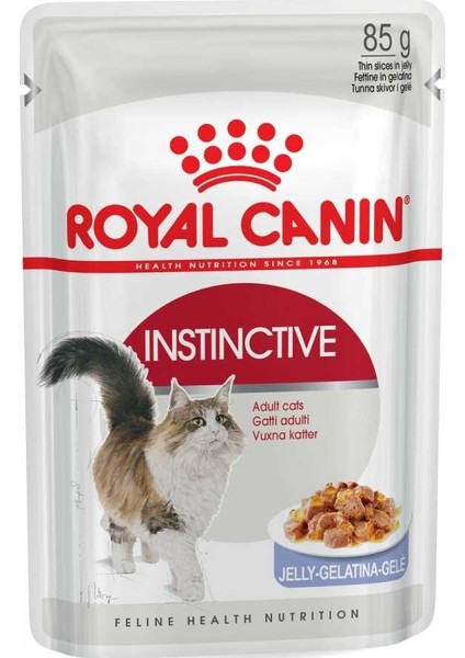 İnstinctive Jelly Yetişkin Konserve Kedi Maması 85 gr