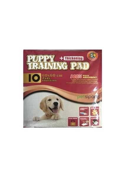 Puppy Training Pedi 60X60 cm 10'Lu