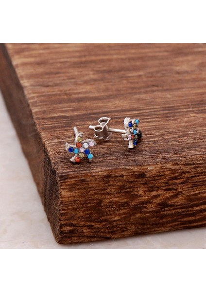 Rüzgar Gülü Tasarım Mix Taşlı Gümüş Küpe 4016