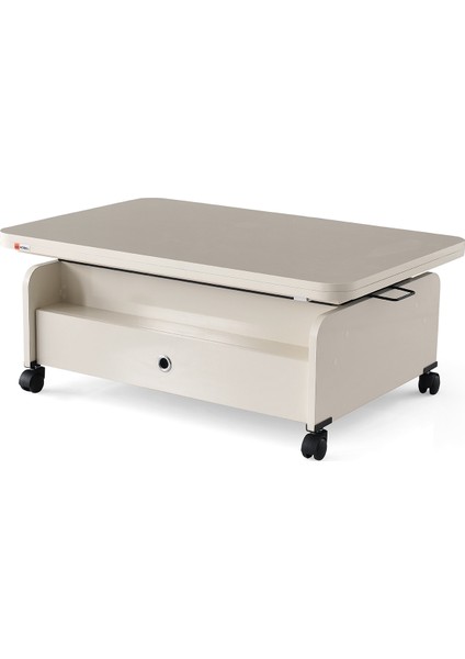 3 Kademeli Ekonomik Akıllı Sehpa 104