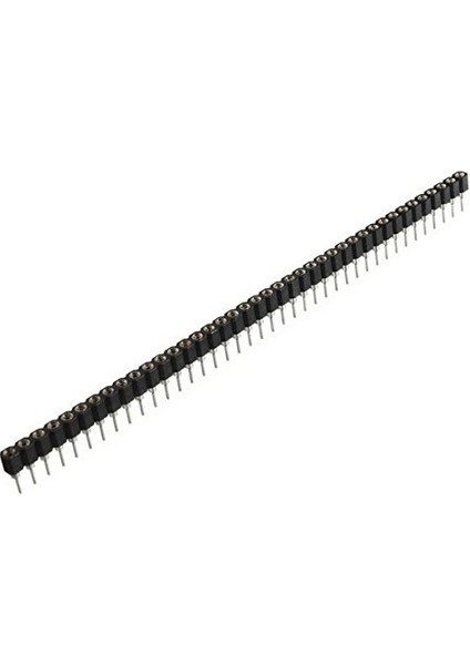 40 pin Precision Dişi Header 180 Derece