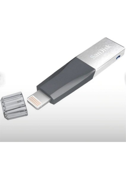 iXpand Mini 256GB iPhone USB Bellek SDIX40N-256G-GN6NE modelleri
