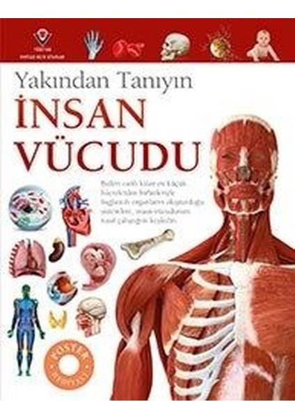 İnsan Vücudu  Yakından Tanıyın- Richard Walker