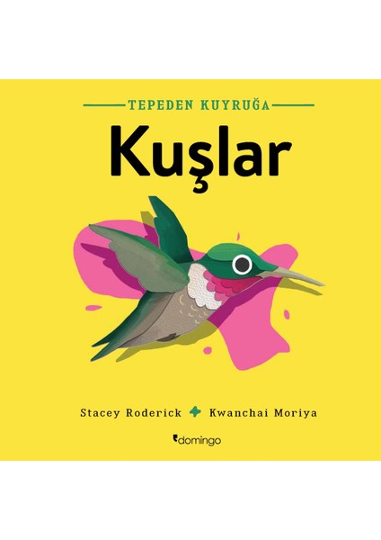 Tepeden Kuyruğa Kuşlar - Stacey Roderick