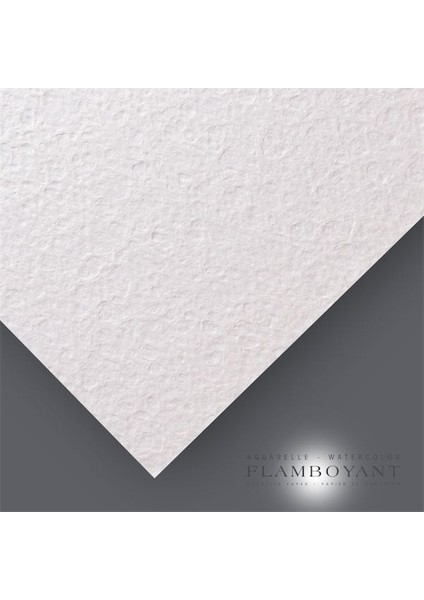 Claırefontaıne 56X76 250 Gr Suluboya K. Am96391