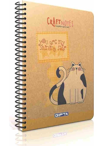 Defter 17X24 Craft Spr. Sert 100Yp. Kar.1778
