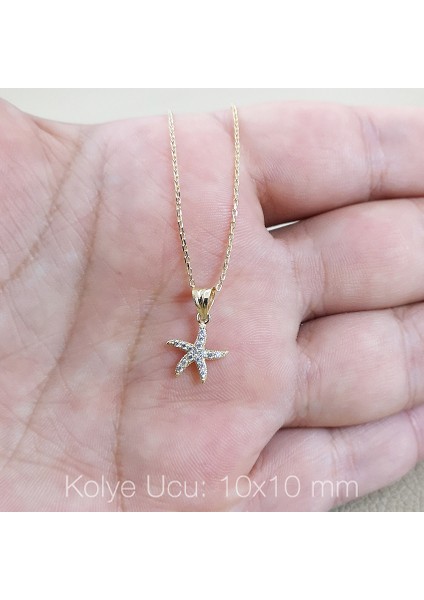 Deniz Yıldızı Altın Kolye Ucu As1429Gkl fiyatları