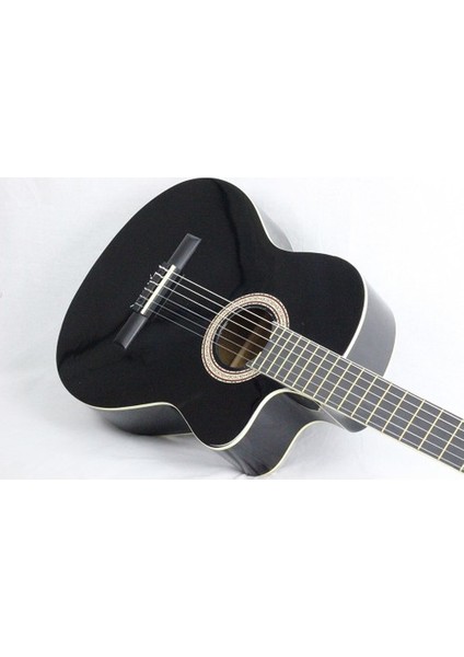 Lc 3900 Cutaway Klasik Gitar fiyatları