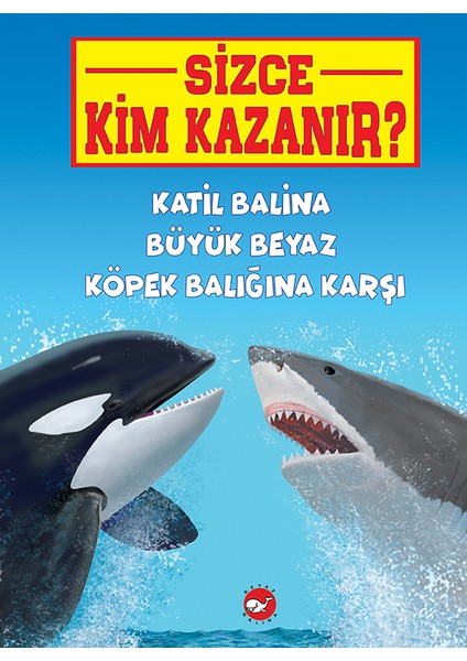 Sizce Kim Kazanır?Katil Balina Büyük Beyaz Köpek Balığına Karşı - Jerry Pallotta
