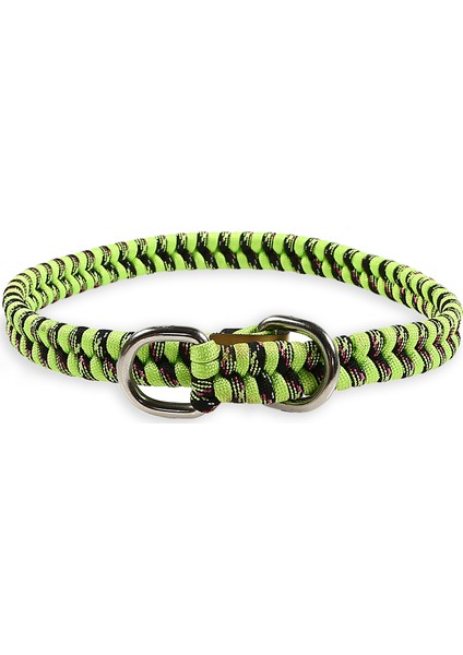 Paracord Köpek Tasması