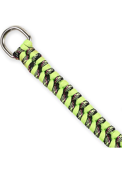 Paracord Köpek Tasması