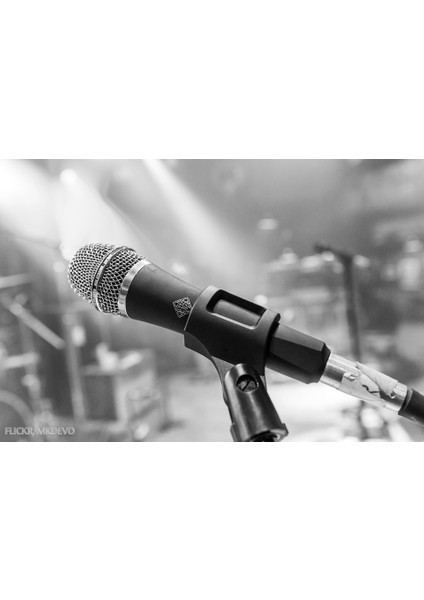 Telefunken M80 STANDARD Yüksek Kalite Dinamik Vokal Mikrofonu